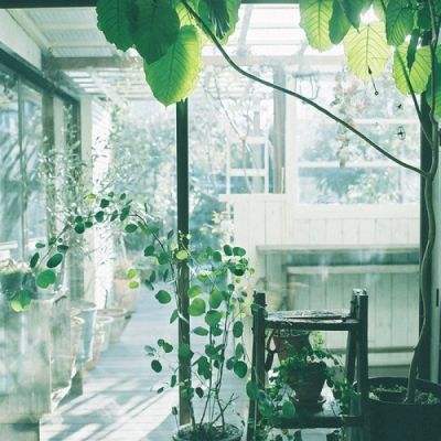 新澳门六开彩资料大全