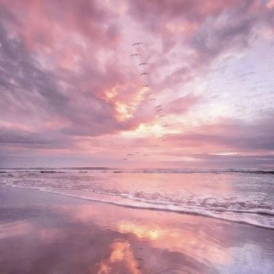 bandao全站体育下载