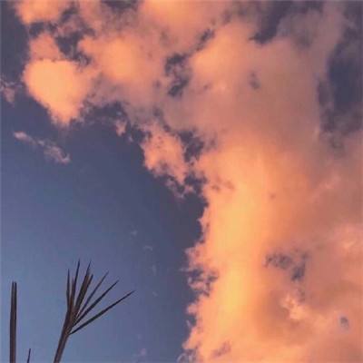 丰禾棋牌app下载