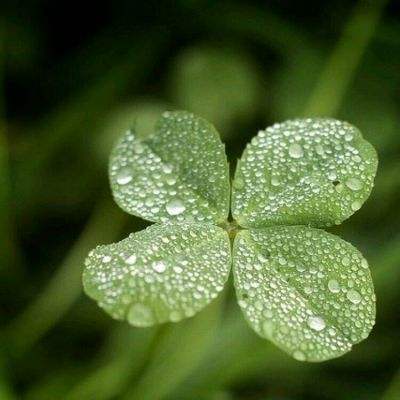 im电竞官方网站入口