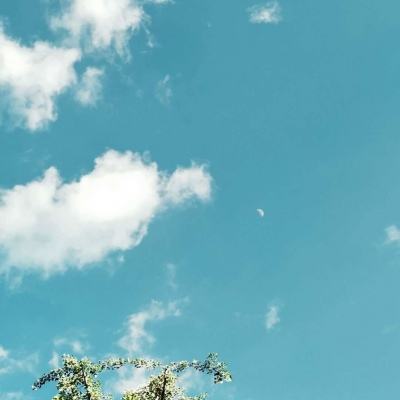 百姓彩票Welcome下载手机版截图